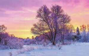 Image (32)